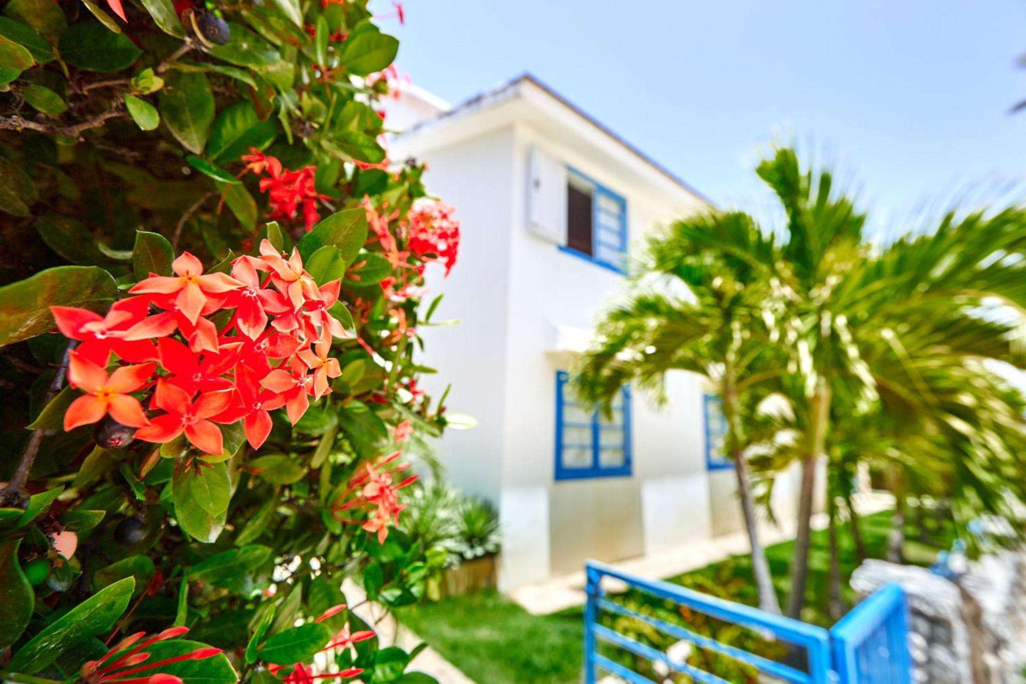 La Flor Del Caribe Beach & Spa Punta Cana Room photo